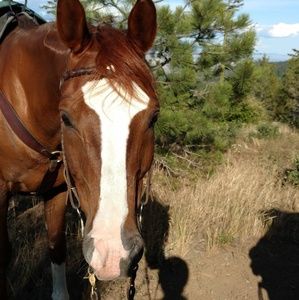 Meet your Posher, Cindi